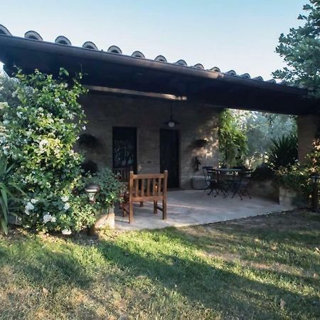 Dimora Borgogni: Country House Perugia Exteriör bild